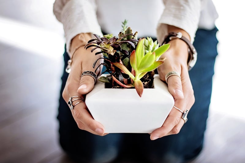 Mason jar planters